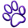 Pawsome Pets UAE Pawsome Pets UAE