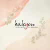 Halcyon Solutions Halcyon Solutions