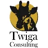 Twiga Consulting (Pty) Ltd Twiga Consulting (Pty) Ltd