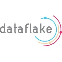 Dataflake LLC-( E-Verified )