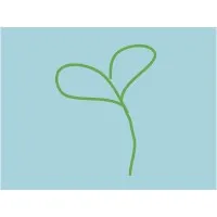 Seedlings Playschool