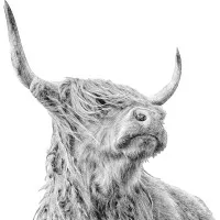 Wheyward Spirit Wheyward Spirit