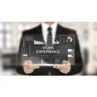 Professional Experience