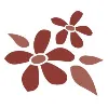 Sand Cherry Sand Cherry