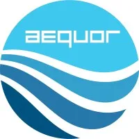 Aequor Information Technologies Pvt. Ltd.