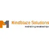 Mindblaze Solutions Private Limited Mindblaze Solutions Private Limited