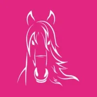 Hidalgo Services, LLC Hidalgo Services, LLC