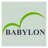 Babylon Group email format