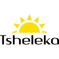 TSHELEKA GROUP