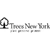 Trees New York Trees New York