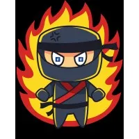 Traffic Ninjas