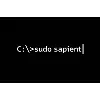 Sudo Sapient Sudo Sapient