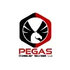 Pegas Technology Solutions Pegas Technology Solutions