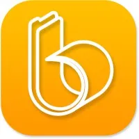 Bandicoot LLC