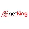 NetKing Technologies