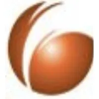 Synapse Orthopedic Group Synapse Orthopedic Group