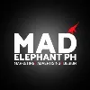 Mad Elephant Mad Elephant