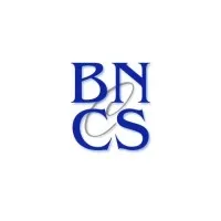 BNCS Partners