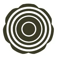 SENSO | THINK UNITED