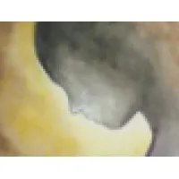 Human Rights Society