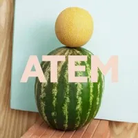 ATEM
