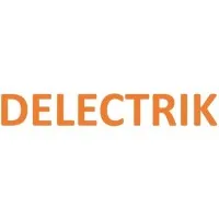 Delectrik Systems Private Limited