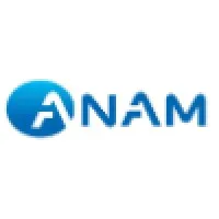 Anam Electronics