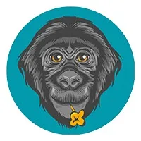 Friends of Bonobos