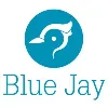 Blue Jay Blue Jay