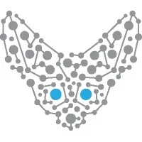 Fennech Financial Ltd