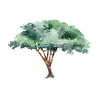 Sol Success Education