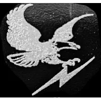 EAGLE ELECTRIC SERVICES, LLC EAGLE ELECTRIC SERVICES, LLC