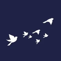 Dear Society Dear Society