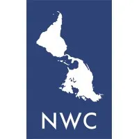 New World Consulting