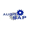 AuditSAP AuditSAP