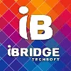 iBridge Techsoft iBridge Techsoft