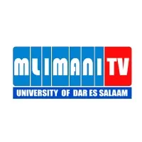 Mlimani Media email format