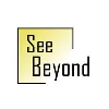 See Beyond