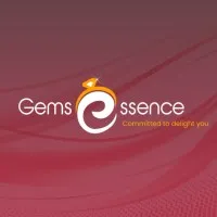 Gems Essence Infotech Pvt Ltd Gems Essence Infotech Pvt Ltd