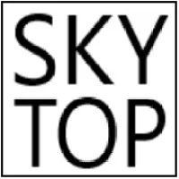 SKYTOP CONSULTING LLC  