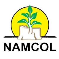 NAMCOL email format