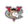 Tri-City ValleyCats Tri-City ValleyCats