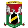 Obijackson Foundation