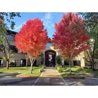 Morton & Pitalo, Inc. Morton & Pitalo, Inc.