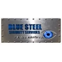 BLUE STEEL SECURITY SERVICES L.L.C. BLUE STEEL SECURITY SERVICES L.L.C.