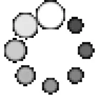 Border Valley Trading