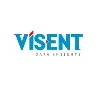 VÍSENT Data Insights VÍSENT Data Insights
