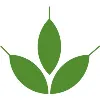 Greenstone Systems Greenstone Systems