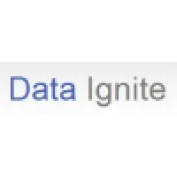 Data Ignite LLC