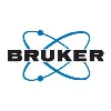 Bruker AXS